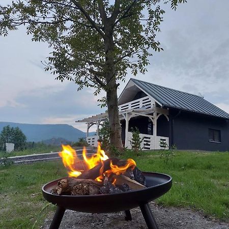 Bryziowka Villa Milkow  Bagian luar foto