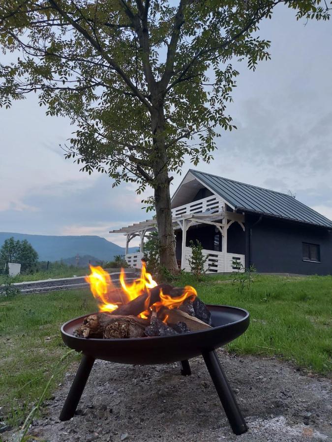 Bryziowka Villa Milkow  Bagian luar foto