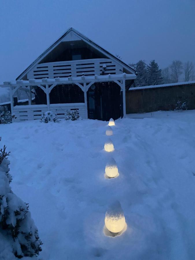 Bryziowka Villa Milkow  Bagian luar foto